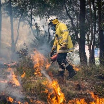 BushfirePreparation