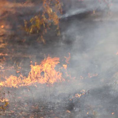 Bushfires