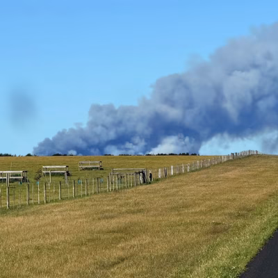 bushfire