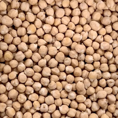 chickpea