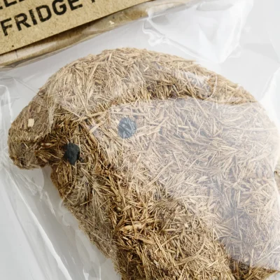 elephant_dung_fridge_magnet_0425
